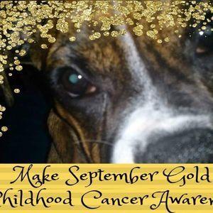 Meet your Posher, Jacquilynn